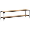 vidaXL TV Cabinet 150x30x40 cm Solid Mango Wood