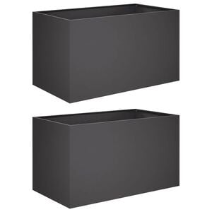 vidaXL Garden Planter 2 pcs Black 100 x 50 x 50 cm Cold-rolled Steel