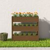 vidaXL Planter Honey Brown 112x25x104.5 cm Solid Wood Pine