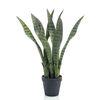 Product Thumbnail Image 2 of 2