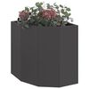 Product Thumbnail Image 3 of 12
