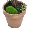 vidaXL Artificial Boxwood Plants 2 pcs with Pots Ball Shaped Green 56 cm