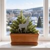 Product Thumbnail Image 2 of 7