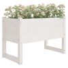 Product Thumbnail Image 3 of 7