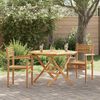 vidaXL Garden Stacking Chairs 2 pcs Brown 55.5 x 55.5 x 90 cm