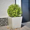 Product Thumbnail Image 2 of 10