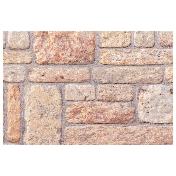 vidaXL Wall Panels 10 pcs Light Brown and White 100 x 50 cm EPS Foam