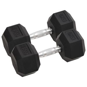 vidaXL Dumbbells 2 pcs 15 kg Total Cast Iron