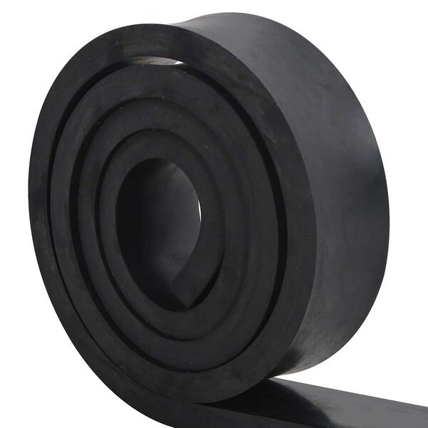 vidaXL Rubber Edge for Snow Plow Black 250x8x2 cm