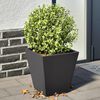 Product Thumbnail Image 2 of 12