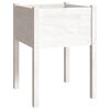 vidaXL Garden Planters 2 pcs White 50x50x70 cm Solid Pinewood