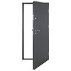 vidaXL Front Door Anthracite 100x200 cm Aluminium