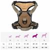 Product Thumbnail Image 14 of 14