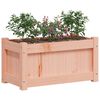 vidaXL Garden Planters 2 pcs Solid Wood Douglas