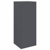 vidaXL Parcel Drop Box with Storage Anthracite 41 x 38 x 103 cm Steel
