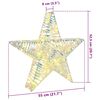 vidaXL 3D Star with 50 LEDs Warm white 55 x 52.5 x 9 cm PET