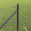 Product Thumbnail Image 4 of 17