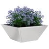 Product Thumbnail Image 3 of 14