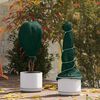 Product Thumbnail Image 2 of 12