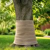 Product Thumbnail Image 2 of 6