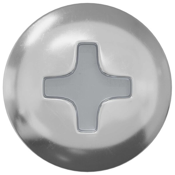 vidaXL Wood Screw 2 pcs Silver M4 x 28 mm Iron