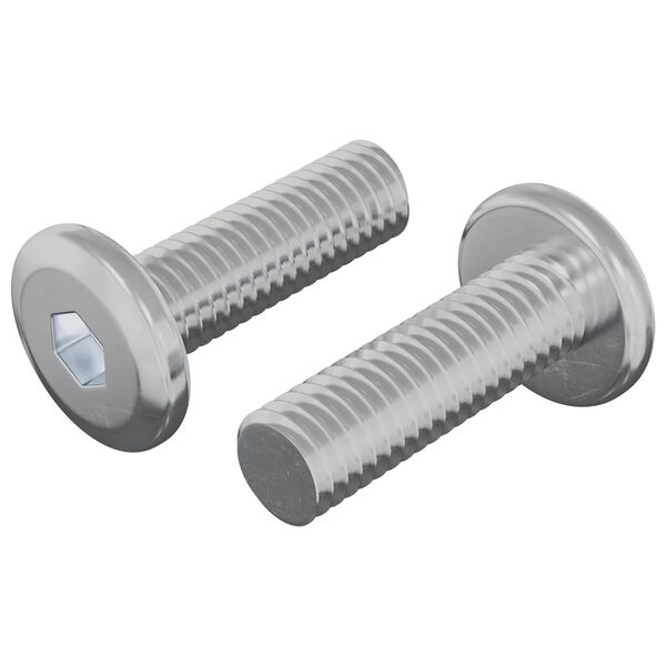 vidaXL Screw 2 pcs Silver 8 x 25 mm Steel