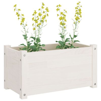 vidaXL Garden Planters 2 pcs White 60x31x31 cm Solid Pinewood