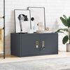 vidaXL Storage Cabinet Anthracite 80 x 40 x 40 cm Cold-Rolled Steel