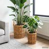 Product Thumbnail Image 2 of 9