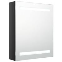 vidaXL LED Bathroom Mirror Cabinet Shining Black 50x14x60 cm