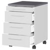 Product Thumbnail Image 4 of 6