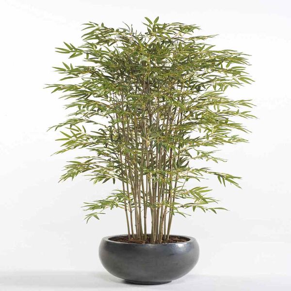 Showing Product Image 2 of 2