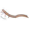 Product Thumbnail Image 4 of 13