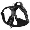 Product Thumbnail Image 8 of 14