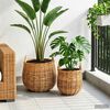 Product Thumbnail Image 3 of 9