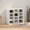 vidaXL Shoe Cabinet with Shelf White 77.5 x 30 x 67 cm Engineered Wood