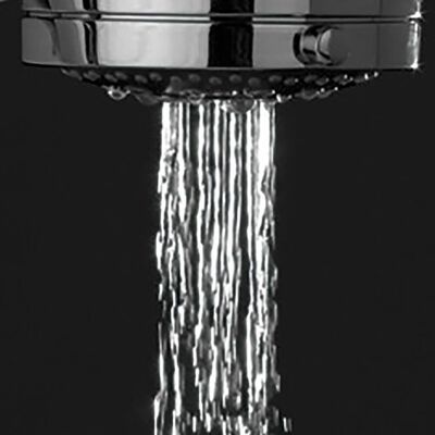 Tiger Shower Head Boston Massage Stainless Steel Polished
