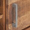 vidaXL TV Cabinet 120x30x40 cm Rough Mango Wood