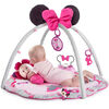 Disney Activity Gym Minnie Mouse Garden Pink K11097