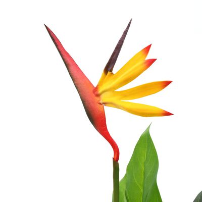 vidaXL Artificial Strelitzia Reginae Plant Bird of Paradise 66 cm