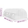 Product Thumbnail Image 12 of 13