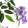 Product Thumbnail Image 4 of 6