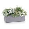 LECHUZA Planter BALCONERA Stone 50 ALL-IN-ONE Grey