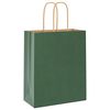 vidaXL Paper Bags 250 pcs with Handles Green 18x8x22 cm
