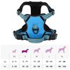 vidaXL Dog Harness with Reflective Stripes Adjustable Blue S