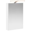 vidaXL Bathroom Mirror Cabinet White 40 x 10.5 x 60.5 cm