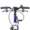 vidaXL Kids Bike 20'' for 6-11 Years Old Blue White