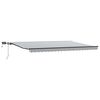 vidaXL Manual Retractable Awning with LEDs Anthracite&White 500x300 cm
