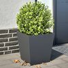 Product Thumbnail Image 2 of 12