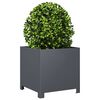 Product Thumbnail Image 4 of 12